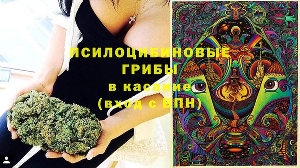 мескалин Алексеевка