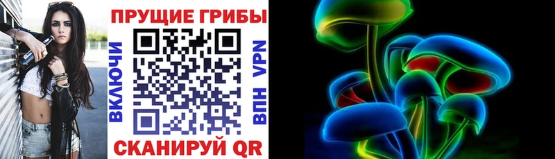 Галлюциногенные грибы Psilocybine cubensis Олонец