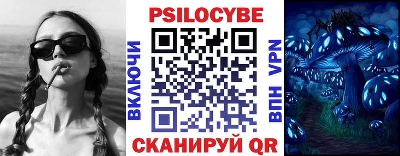 blacksprut сайт  Олонец  Псилоцибиновые грибы Psilocybine cubensis 